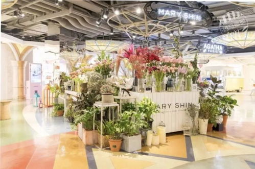 野兽派花店加盟费多少