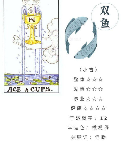 摩羯近期运势六月运程如何
