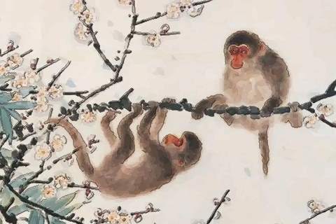 近期属猴运势怎么样啊男生