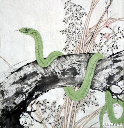 属蛇近期运势差的生肖是什么呢