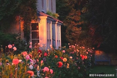 2025年双子男近期感情运势如何