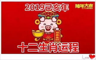 50年生肖虎近期运势如何