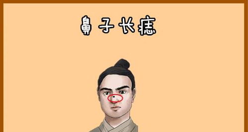 怎么从脸上看一个人的财运