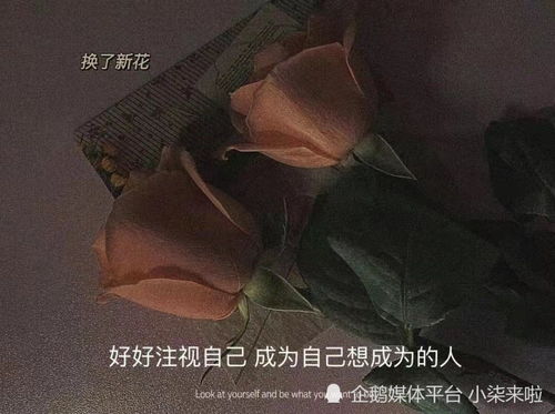 水瓶近期单身感情运势怎么样了