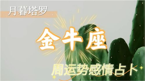 金牛座男生近期的感情运势如何