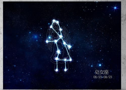处女座男2021年感情运势