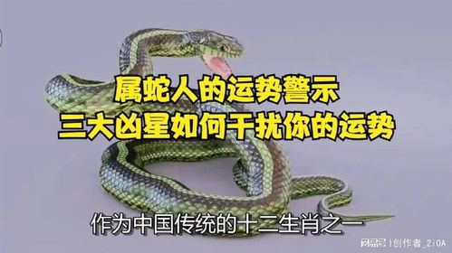 属蛇人近期运势怎么样呢