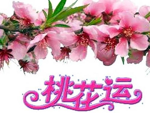 八字测近期桃花运势如何