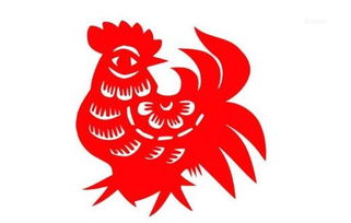 81年属鸡24年近期运势如何