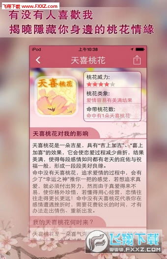近期运势八字摆盘图片