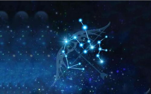 射手座伴侣星座