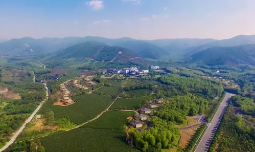 宝剑五正位桃花什么时候来
