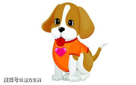 生肖狗近期运势如何
