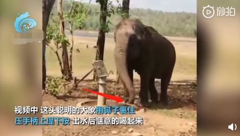 水象火象近期运势如何呢女