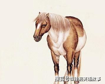 属马近期运势怎么样男生