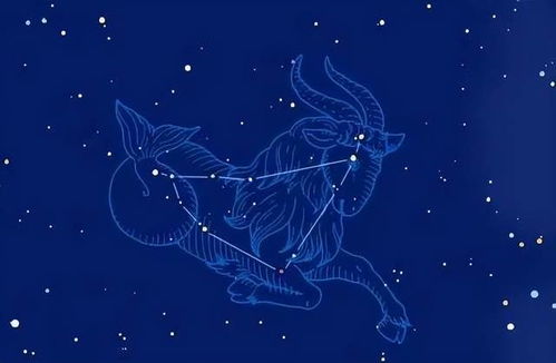 水瓶座的明星近期运势图片