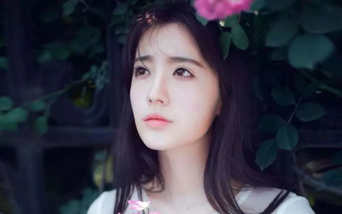 狮子座近期运势女星是谁啊
