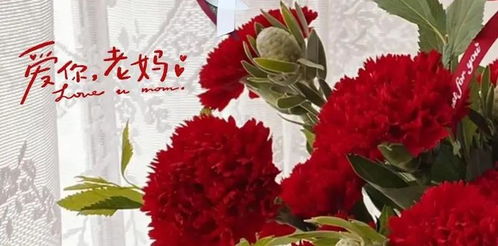 母亲节鲜花花束图片