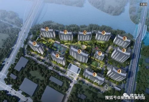 白羊座近期运势走向女生分析