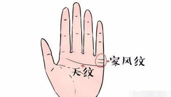 近期运势最好的手相图解女
