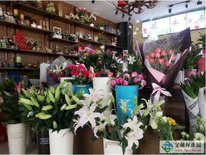 合肥鲜花速递网点地址