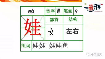 植物靠什么方法传播种子二年级
