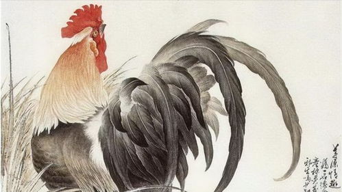 93年鸡近期运势运程如何
