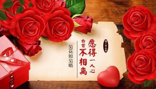 玫瑰数量的寓意和象征