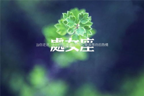 已婚处女座2021年感情运势