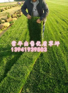 567苗木求购信息平台