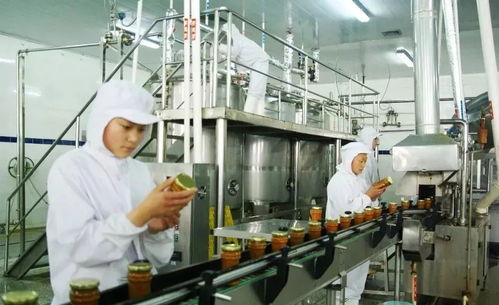 属马女的近期分析运势如何