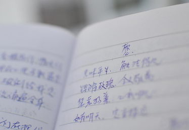 小诗的房产日记怎么写的