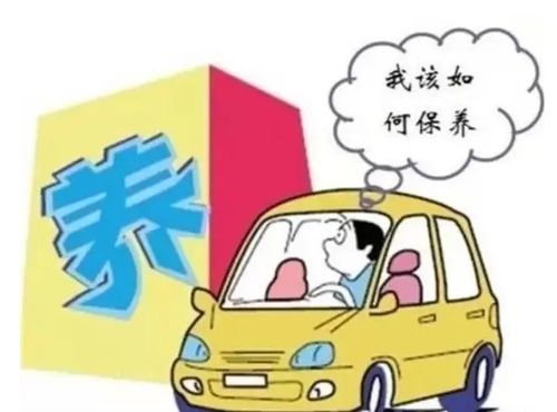 汽车保养多少交多少税呢