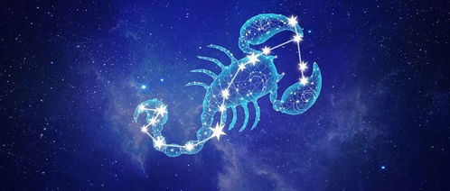 2021天蝎座运势陶白白
