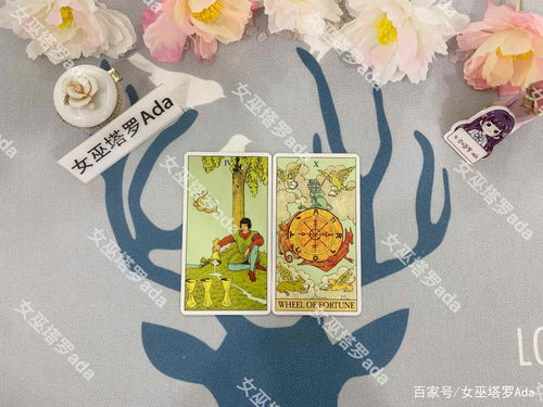 天蝎女近期塔罗运势如何