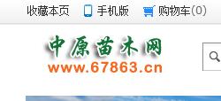 苗木网站排行