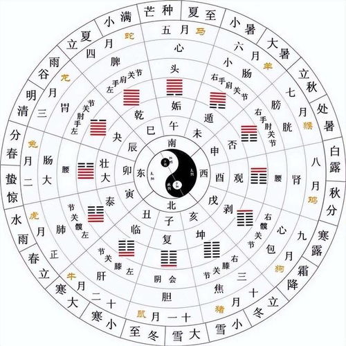 易经卦象是看近期运势吗为什么