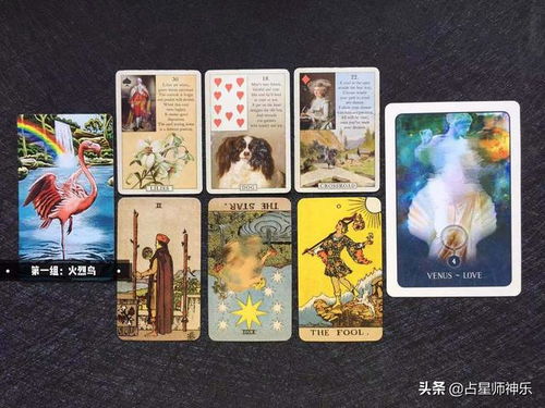 塔罗牌6月份近期运势如何