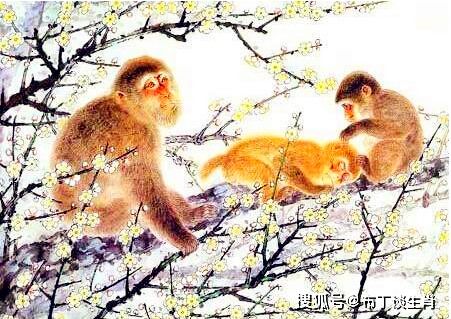 属猴的近期事业运势如何呢