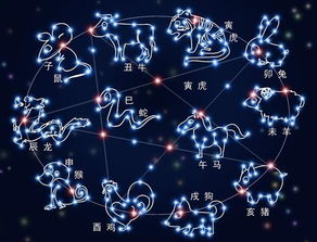 12月龙的运势