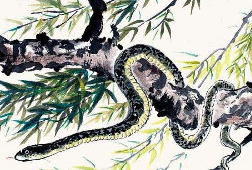 近期蛇人运势