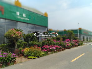 附近花卉市场地址查询