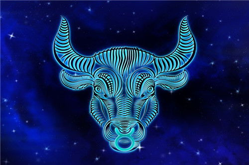 陶白白金牛座运势2021