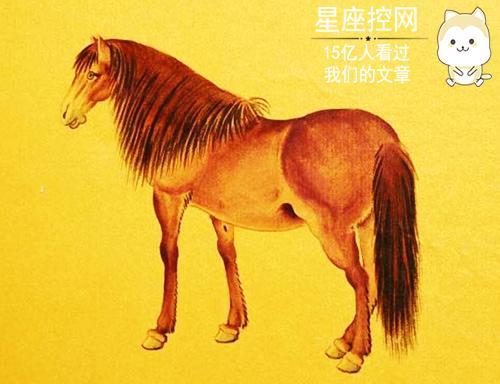 属马近期的运势如何看呢