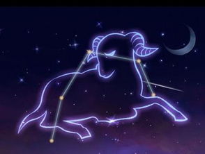 感情运势：狮子六月感情星座运势（6月的狮子座）