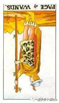 感情运势：权杖侍从的逆位感情运势（权杖侍从逆位对方的想法）