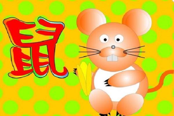 感情运势：鼠的性格感情运势如何呢（属鼠的性格运势）