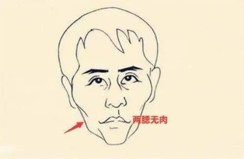 面相观人近期运势分析图（面相看相大全）