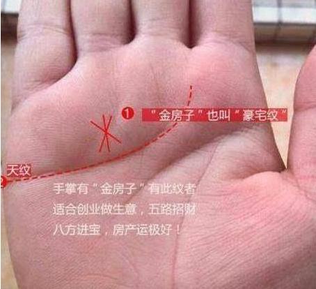 感情运势：手纹线如何看感情运势女（手纹线看婚姻）
