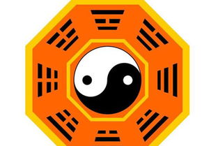 感情运势：七杀格男生感情运势如何（七杀格男命财运好吗）